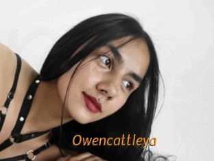 Owencattleya