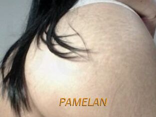 PAMELA_N