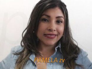 PAMELA_zv