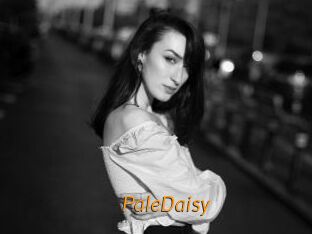 PaleDaisy