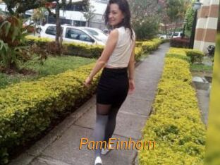 PamEinhorn