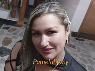 Pamelahorny