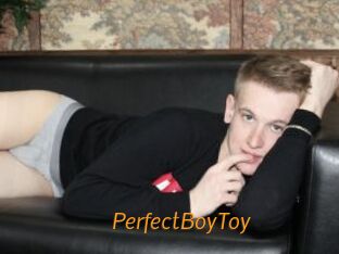 PerfectBoyToy