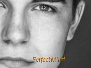 PerfectMind Porn University