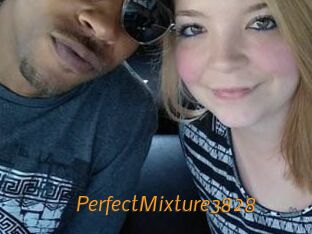 PerfectMixture3828