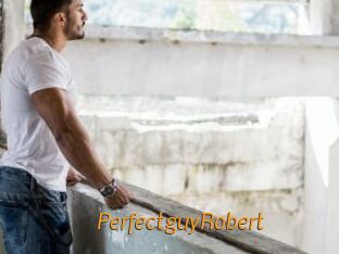 PerfectguyRobert