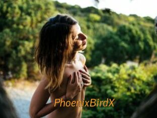 PhoenixBirdX