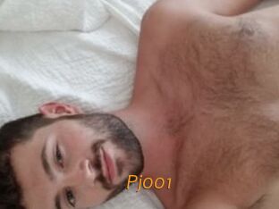 Pj001