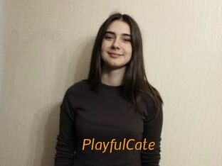 PlayfulCate
