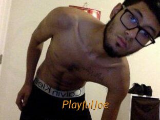 PlayfulJoe
