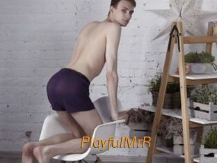 PlayfulMrR