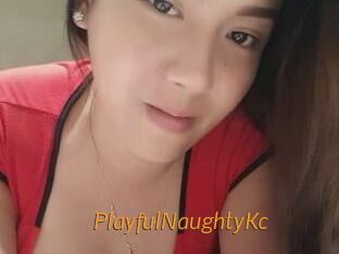 PlayfulNaughtyKc