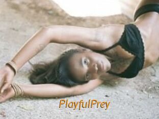 PlayfulPrey