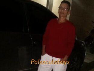 Polexcuteboyx