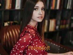 PolinaSoft