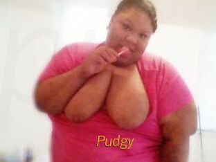 Pudgy