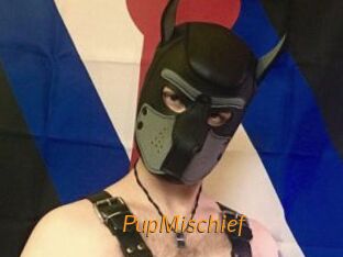 PupMischief