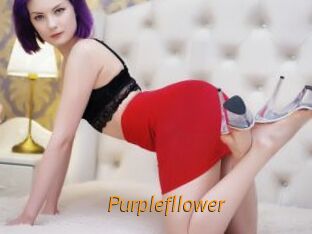 Purplefllower