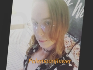 Palemoonflower