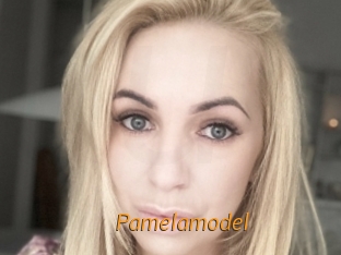 Pamelamodel