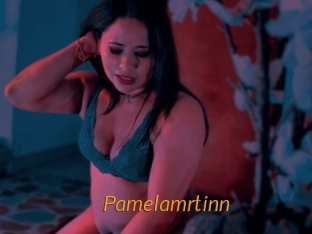 Pamelamrtinn