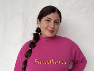 pamellarios Porn University