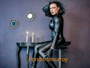 pandoramurray Porn University