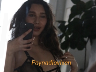 Paynadiavixen