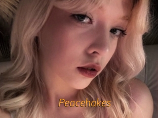 peacehakes Porn University