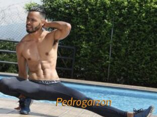 Pedrogarzon
