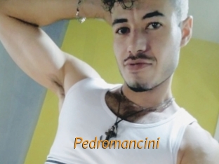 Pedromancini