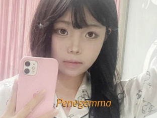 Penegemma