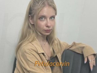 Petulacarvin