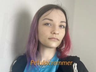 Petulacrammer