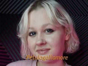 Petulagallamore