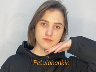 Petulahankin