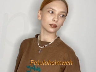 Petulaheimweh