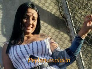 Peytonumalatin