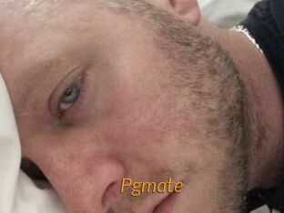 Pgmate
