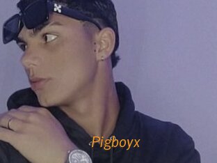 Pigboyx