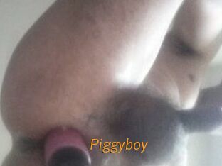 Piggyboy