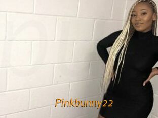 Pinkbunny22