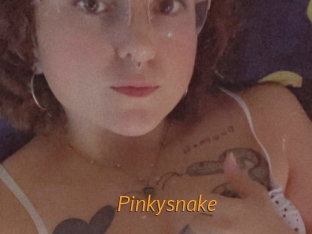 Pinkysnake