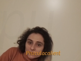 Pisicutacalient