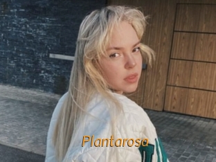 Plantarosa