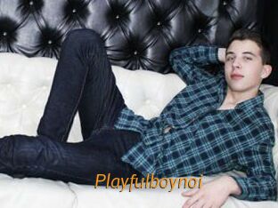 Playfulboynoi
