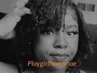 Playgirlharleynae