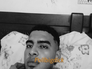 pollbigdick Porn University