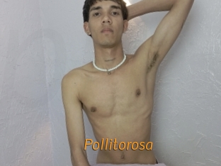 Pollitorosa