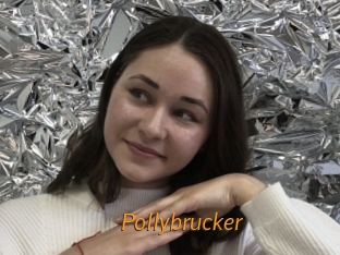 Pollybrucker